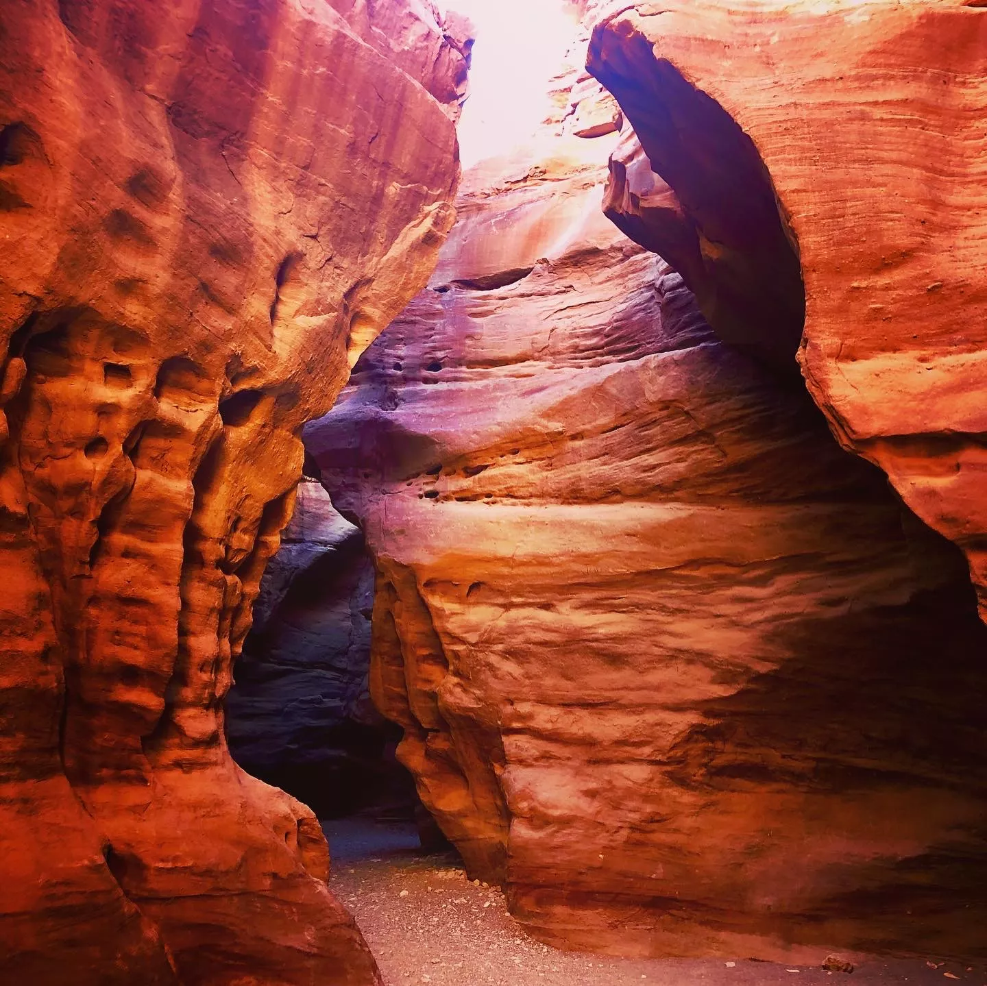 Illustrative banner showing desert canyon, jeep silhouette, and Timna rock formations
